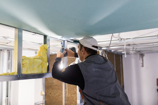 Best Types of Insulation in Melrose Park, IL